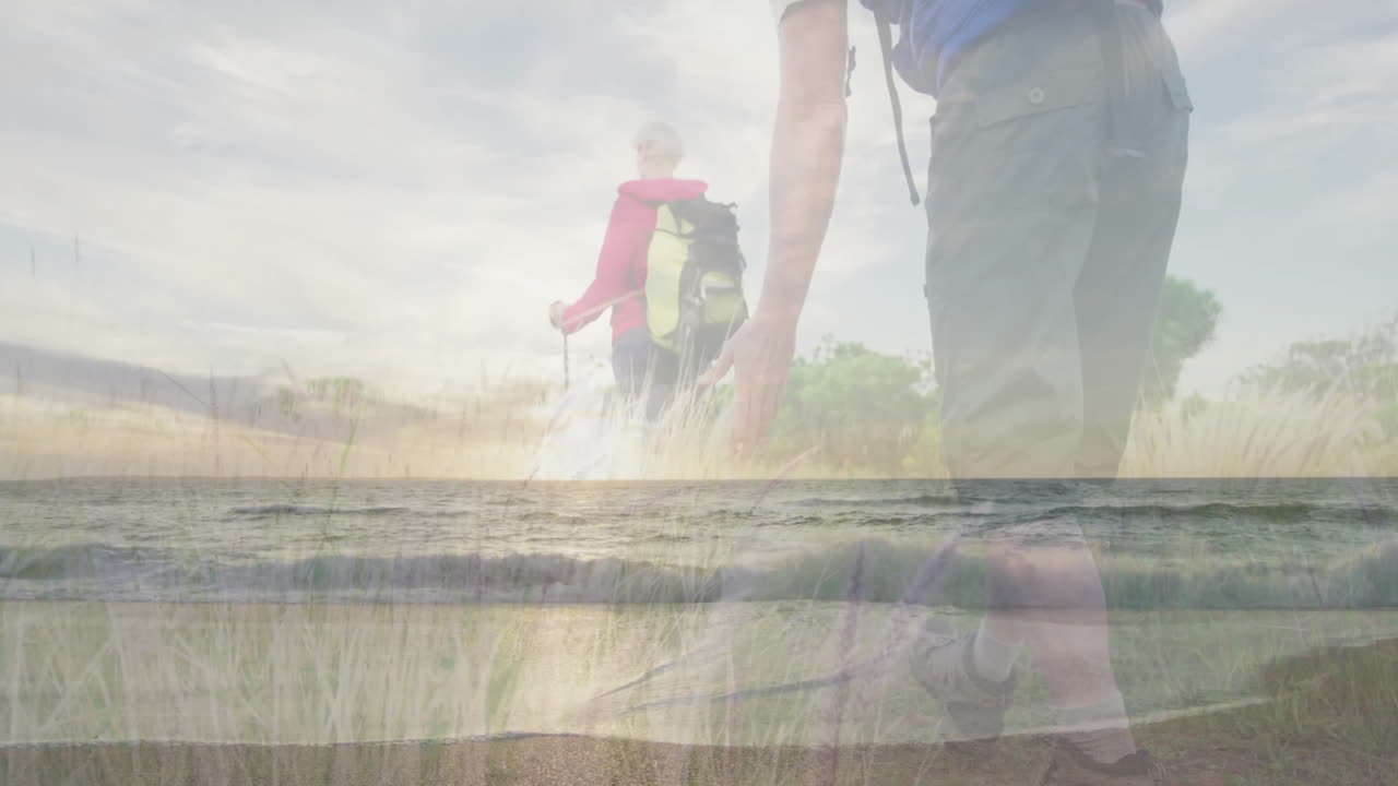 Adult hikers walking through coastal grass merging with ocean waves at sunset, showing health icons