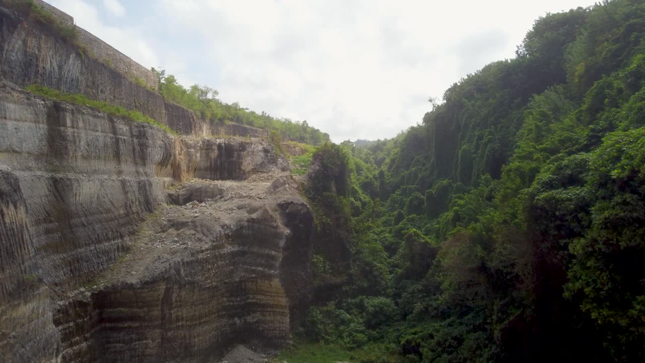 aéreo: disparo de drones volando a través de una exuberante vegetación