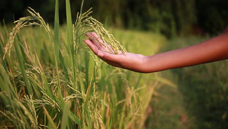 adolescente moviendo la mano a través de los granos de arroz