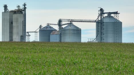 Ethanol-plant-and-grain-elevator-behind-cornfield-in-tassel
