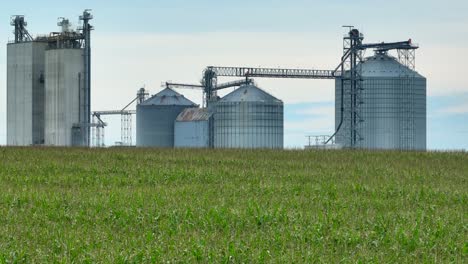 ethanol plant and grain elevator behind cornfield in tassel