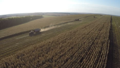 Flying-over-machinery-working-in-vast-cornfields