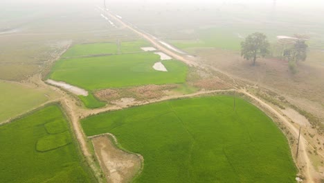 Vista-Aérea-Volando-A-Través-De-Un-Exuberante-Campo-De-Arroz-Verde-En-El-Brumoso-Campo-Rural-Indio