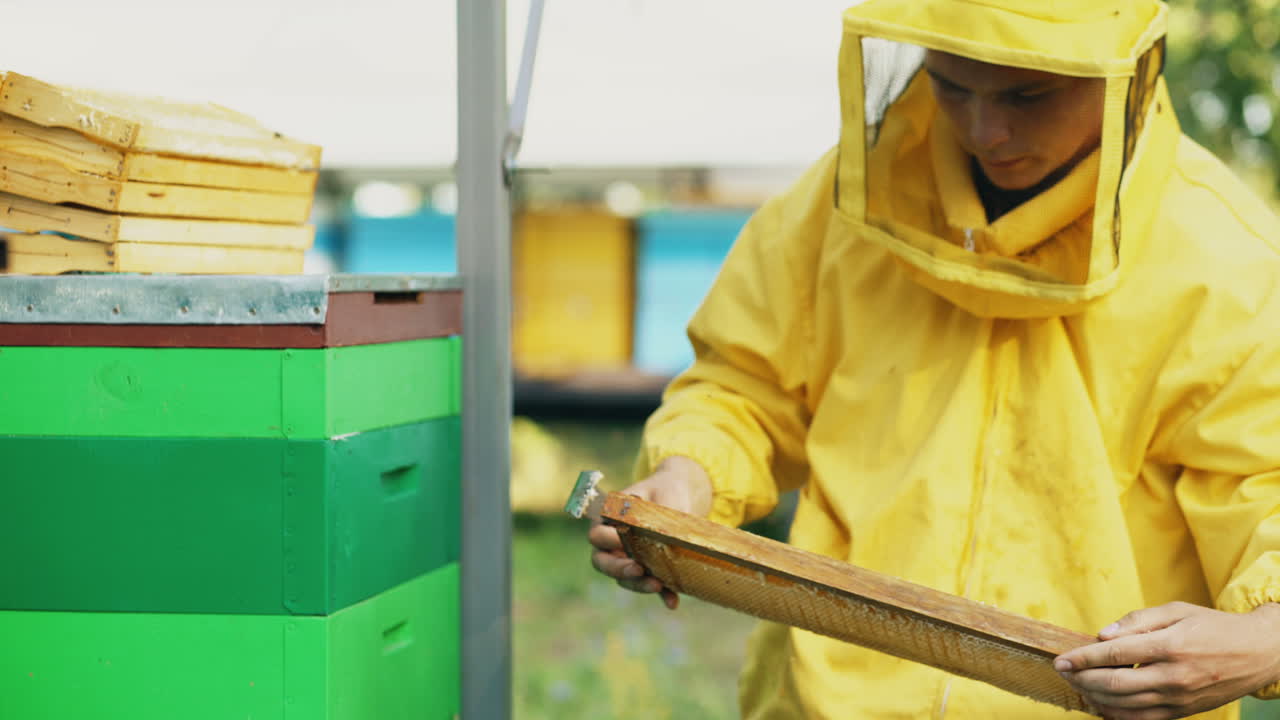 벌집 을 관리 하는 양봉업자