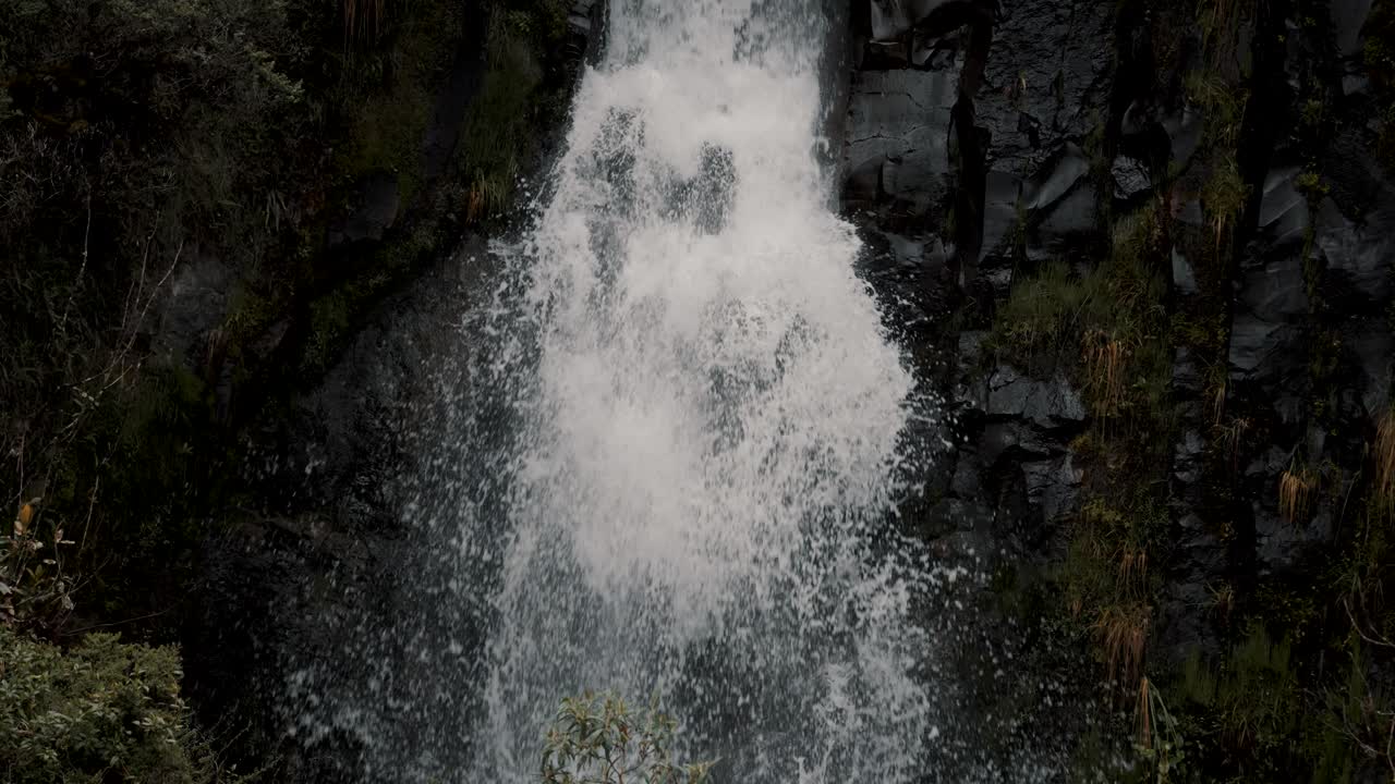 Tropical Jungle Waterfall In Cayambe Coca National Park, Papallacta, Ecuador - tilt down