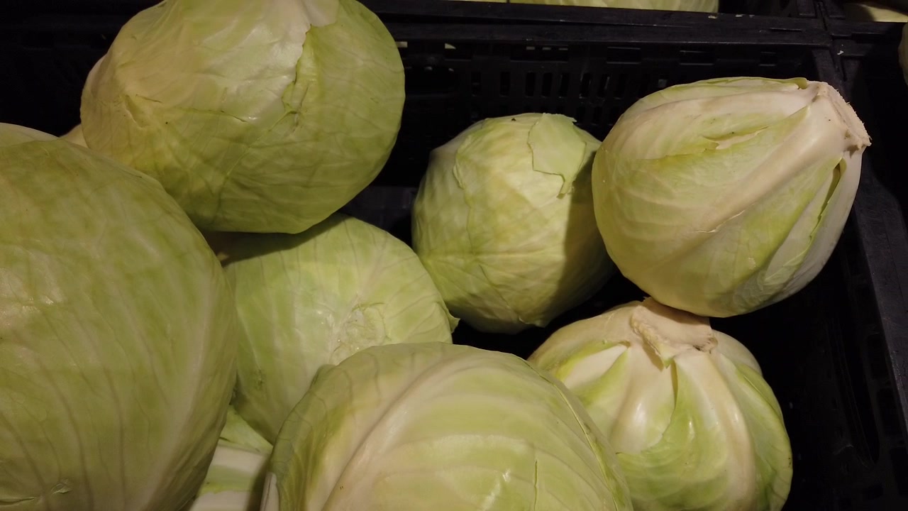 White cabbage in the store.