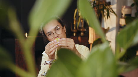 mujer inspeccionando una planta de interior