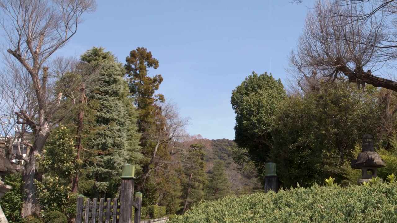 Ampia inquadratura panoramica di un sereno giardino di un tempio di Kyoto sotto un cielo azzurro e limpido
