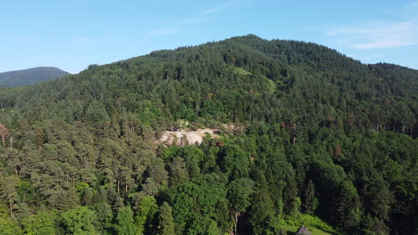 aerial view of green forested mountain on a sunny day