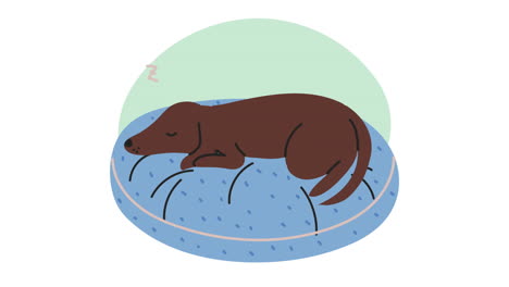 animado de mascota de perro lindo durmiendo