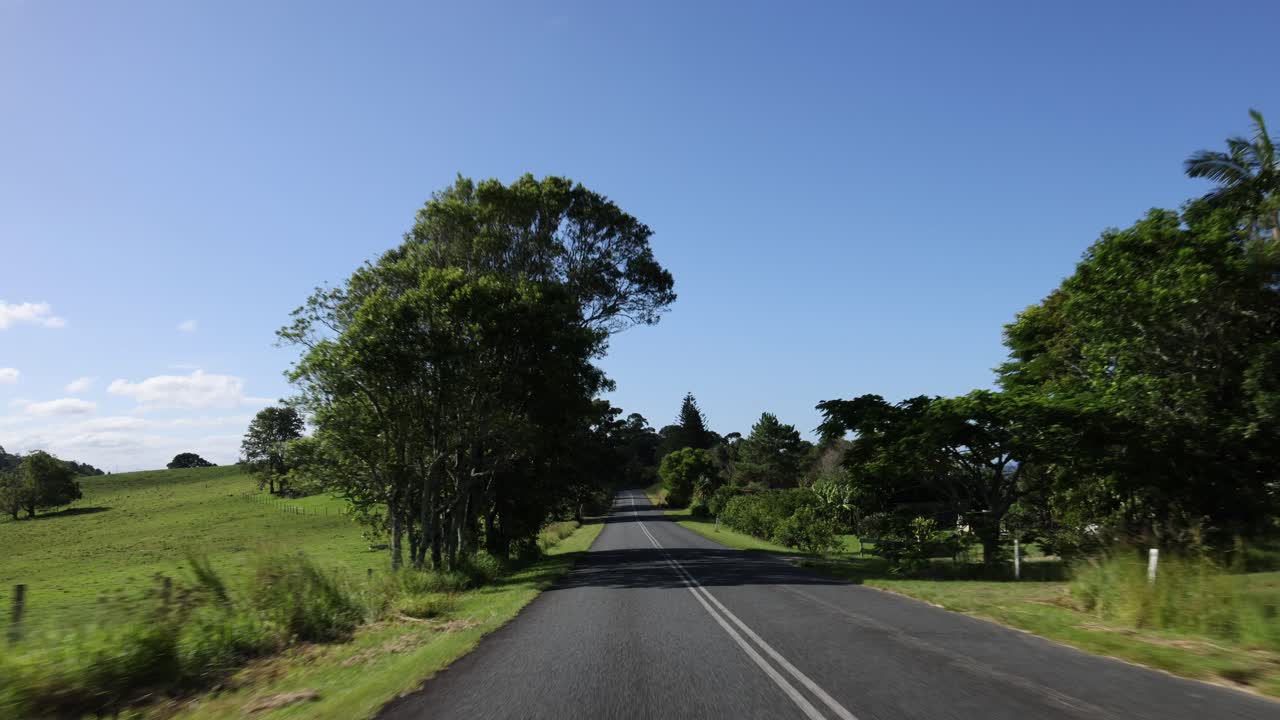 초록색으로 둘러싸인 시골 도로를 따라 여행하는 것