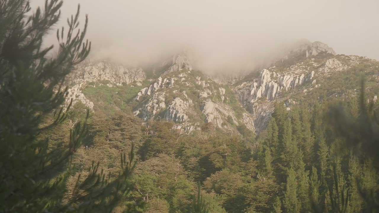 bosque chileno nativo con paredes de granito al atardecer