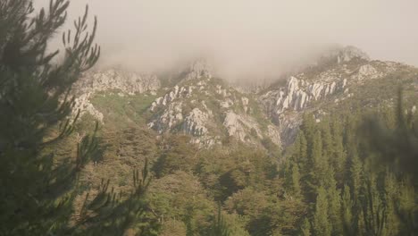 Bosque-Chileno-Nativo-Con-Paredes-De-Granito-Al-Atardecer