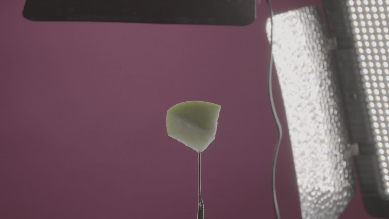 크로마 키를 위한 푸키아 스크린에 을 가진 사과 회전