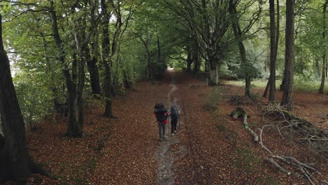 national trail called the south downs way, which is walked by two people with backpacks and trekking poles through a deciduous forest