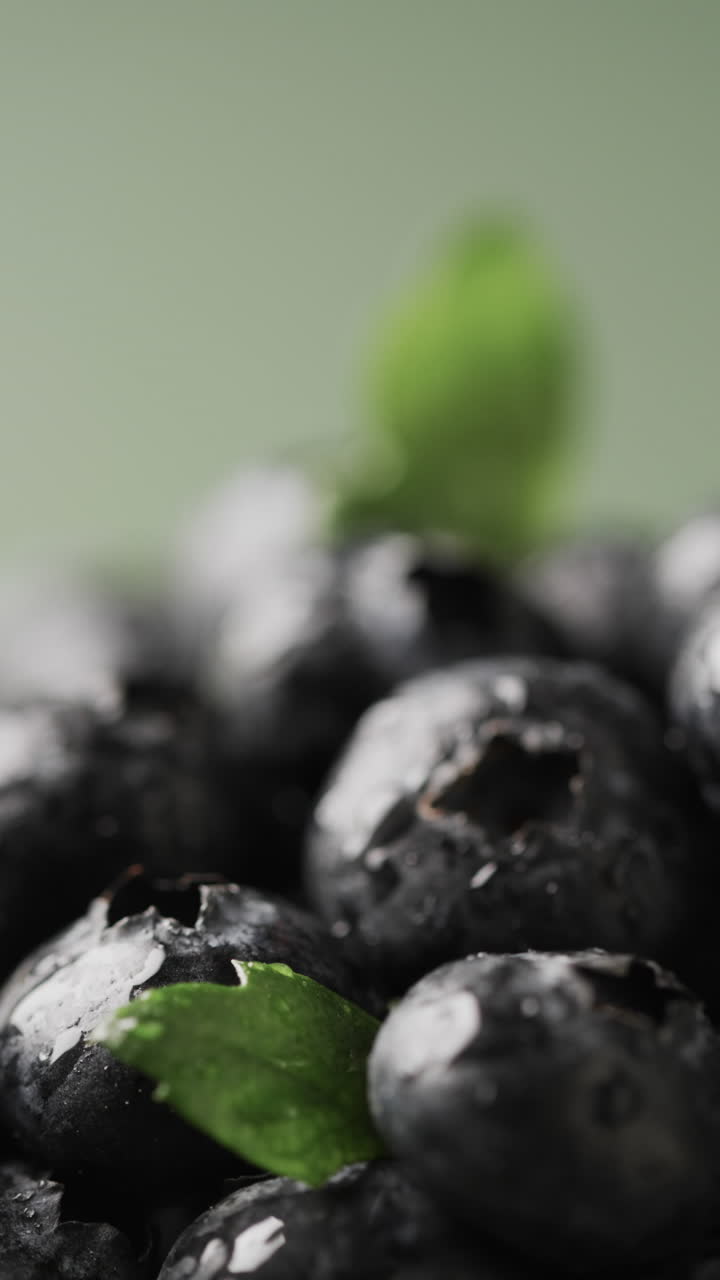 Micro vertical video close up of blueberries and copy space on green background