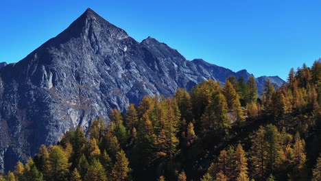 Saas-Fee-Saastal-aerial-drone-Switzerland-beautiful-sunny-blue-sky-autumn-fall-yellow-Larchs-forest-trees-Swiss-Alps-alpine-mountain-top-glacier-glacial-peak-gondola-tram-chairlift-landscape-pan-left