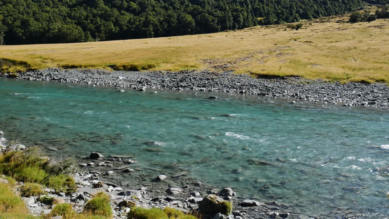 Stille flydende gennemsigtig flod på en solskinsdag ved Rob Roy Glacier Path