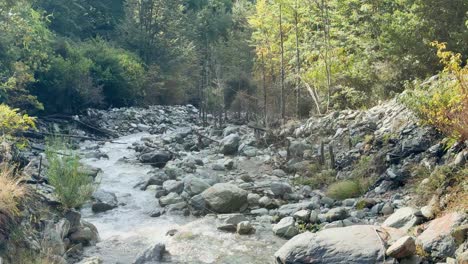 a glacial meltwater stream rushes over rocks in a lush forest, illuminated by soft sunlight. static camera captures natural movement and serene atmosphere