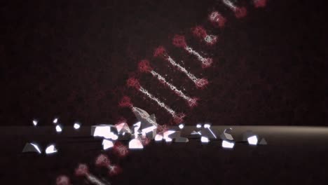 DNA-Struktur,-Die-Sich-über-Dem-Euro-Währungssymbol-Dreht-Und-Vor-Schwarzem-Hintergrund-Fällt-Und-Bricht