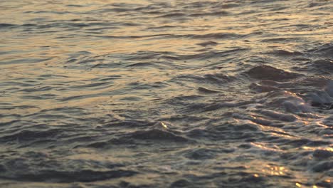 guijarros marinos al atardecer. el fondo.