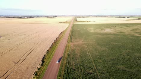 Imágenes-Aéreas-De-4k-De-Un-Automóvil-Plateado-Conduciendo-Por-Un-Polvoriento-Camino-De-Tierra-Entre-Campos-Verdes-Y-Amarillos-En-El-Campo-De-EE.-UU.