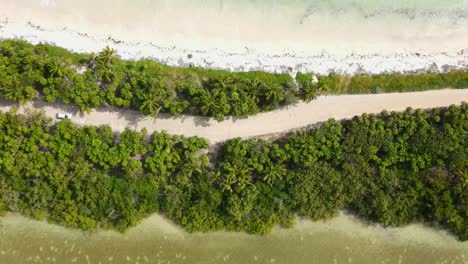 vista aérea de la orilla de un lago y la costa del mar dividida por el bosque tropical