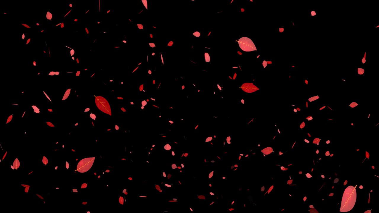 죽은 잎, 빨간 잎, 가을 잎, 어나오는 입자, 모션 그래픽