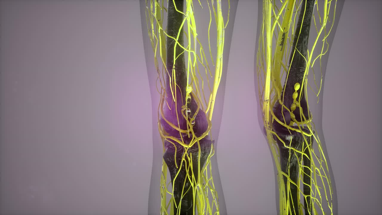 빛나는 혈관으로 된 인체