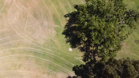 La-Inclinación-Revela-Una-Toma-Aérea-De-árboles-Verdes,-Un-Campo-Y-Un-Lago-Azul-Nítido