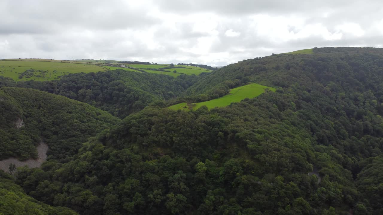 profundo valle cubierto de árboles vista aérea con roca expuesta
