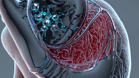 3d model of a heart with advanced technology