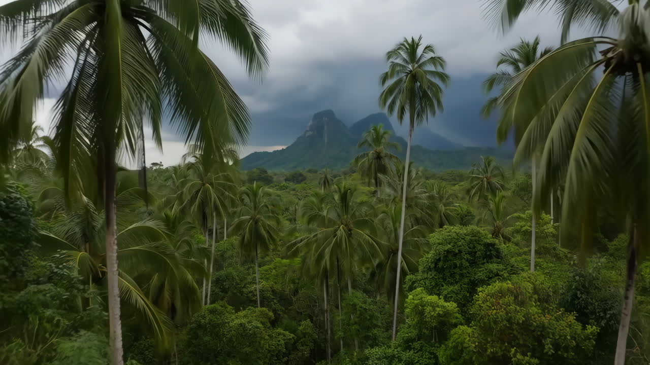 Lush Tropical Forest with Palm Trees and Mountains Under a Stormy Sky