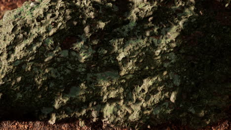 close up of a moss covered rock