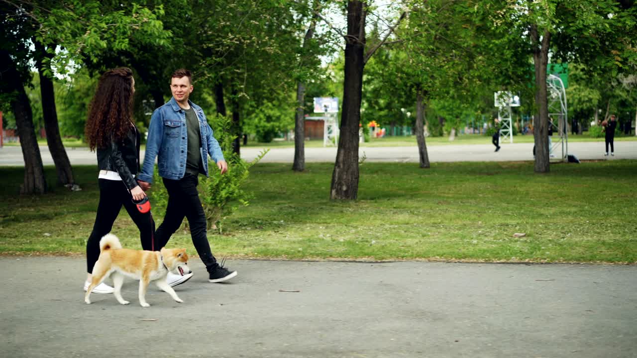 vista lateral de la atractiva joven dueña de un perro paseando con su mascota y charlando con su novio yendo de la mano con ella. estilo de vida activo y concepto de vida moderno.