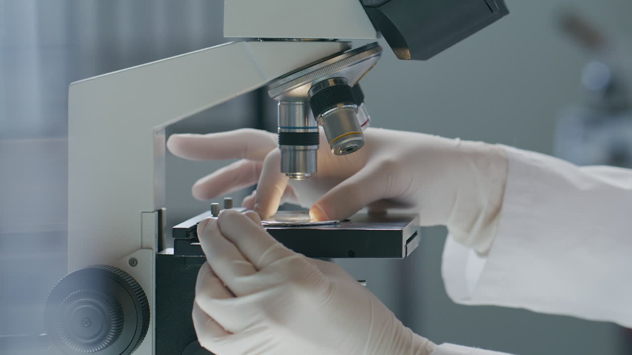Hands of Scientist Adjusting Slide on Microscope Stage in Laboratory