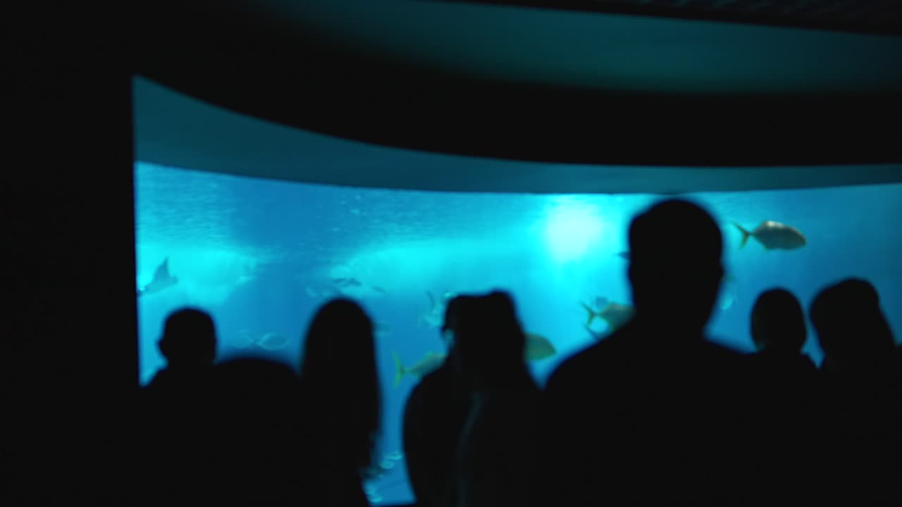 Silhouettes of people watching fish in a large blue-lit aquarium