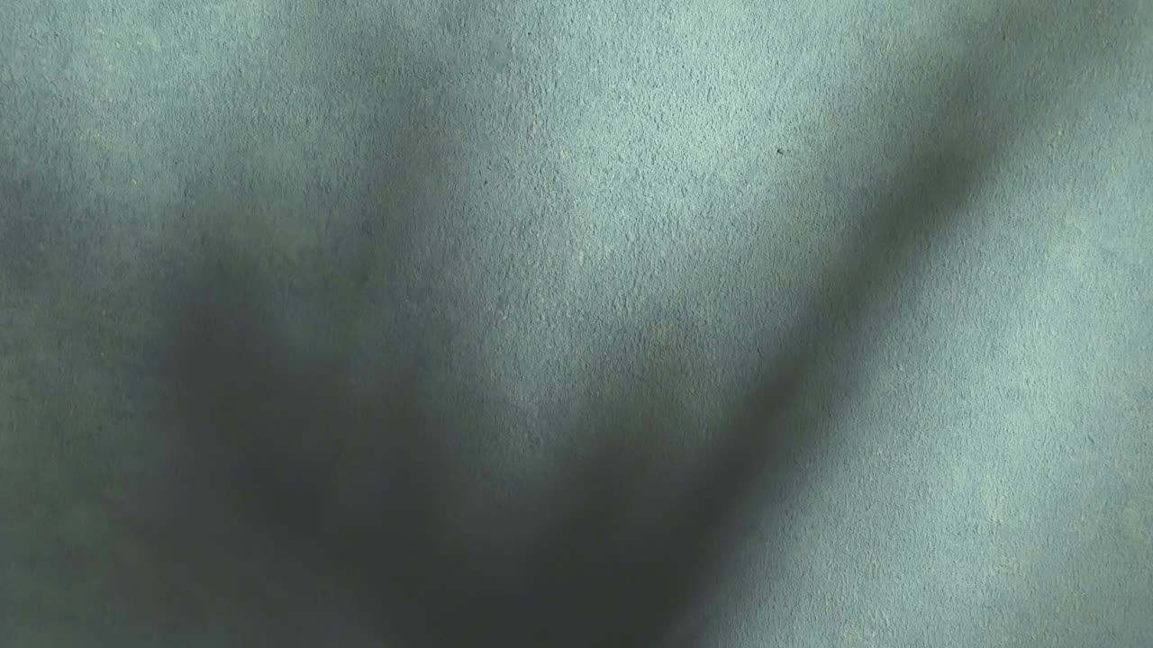 fondo. sombra corriendo en la pared áspera. bucle sin costuras.