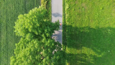 Dos-Ciclistas-Circulando-Por-La-Carretera-En-La-Avenida-De-árboles-En-Su-Viaje-Ciclista.