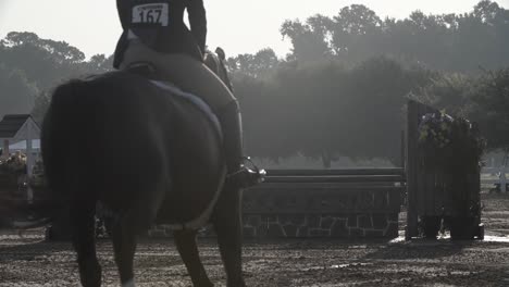 slow motion of girl riding on a horse with her back to the camera