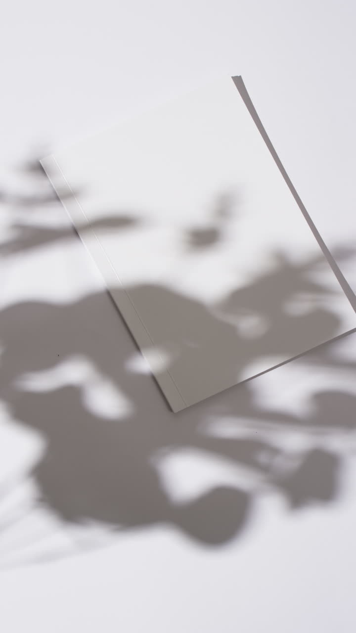 Vertical video of shadow of plant over book with blank pages and copy space on white background
