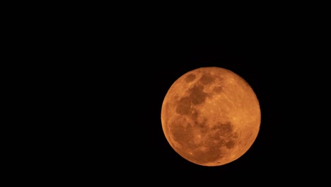 super luna llena timelapse 8 de abril de 2020 el día en que la luna se acerca al mundo.