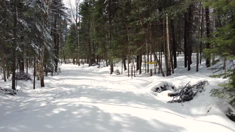 drone flight follows a snowy country road that runs through a large pine forest