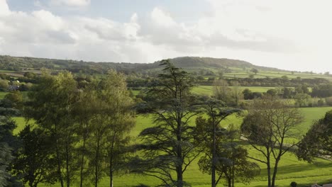 rural green fields, trees and mountains in honiton, devon, uk