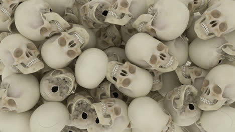 pile of skulls