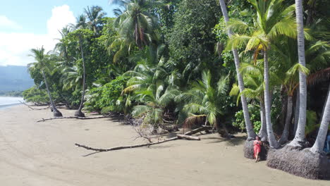 aerial rotating view of female tourist relaxing against a big palm tree on a beach in national park of marino ballena, costa rica