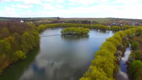 aerial view of an island and beautiful multi-colored trees