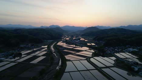 antena cinematográfica: campos de arroz con agricultura regada en el japón rural