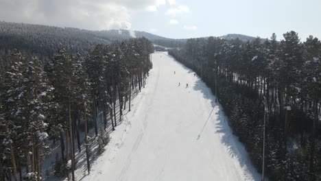 Skigebiet-Im-Wald