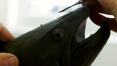 craftsman working on fish sculpture 4k